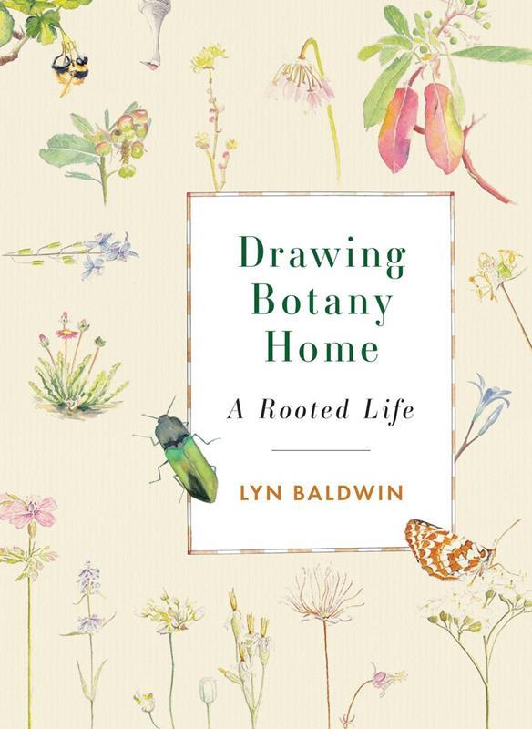 Drawing Botany Home