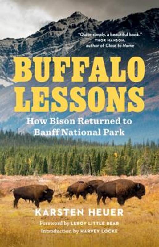 Buffalo Lessons How Bison Returned to Banff National Park